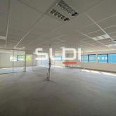 Locaux d'activités A LOUER - MARCILLY D'AZERGUES - 820 m² Locaux d'activités A LOUER - MARCILLY D'AZERGUES - 820 m²