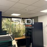 Locaux d'activités A LOUER - LYON - 335 m²