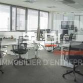 Bureaux A LOUER - LYON - 729 m² Bureaux A LOUER - LYON - 729 m²