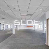 Bureaux A LOUER - VILLEURBANNE - 5 714 m² Bureaux A LOUER - VILLEURBANNE - 5 714 m²