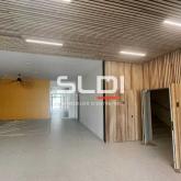 Bureaux A VENDRE OU A LOUER - VILLEURBANNE - 239 m² Bureaux A VENDRE OU A LOUER - VILLEURBANNE - 239 m²