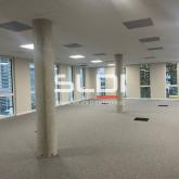 Bureaux A VENDRE OU A LOUER - VILLEURBANNE - 239 m² Bureaux A VENDRE OU A LOUER - VILLEURBANNE - 239 m²