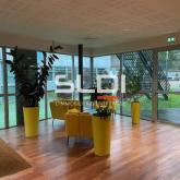 Bureaux A LOUER - ECULLY - 912 m²