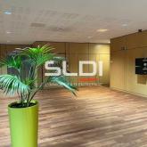 Bureaux A LOUER - ECULLY - 912 m²