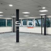 Bureaux A LOUER - ECULLY - 912 m²