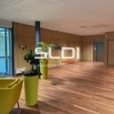 Bureaux A LOUER - ECULLY - 912 m²