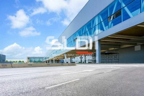 Locaux d'activités A LOUER - CHASSIEU - 5 000 m²