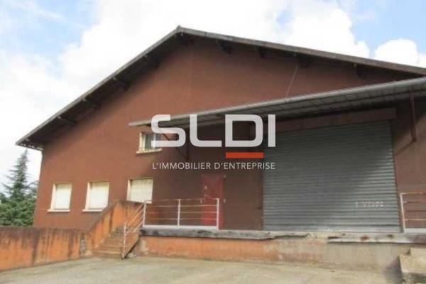 Locaux d'activités A LOUER - FLEURIEU SUR SAONE - 800 m²