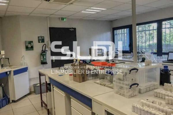 Bureaux A LOUER - BRON - 498 m²