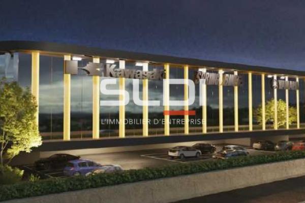 Locaux d'activités A LOUER - VILLEFRANCHE SUR SAONE - 4 600 m²