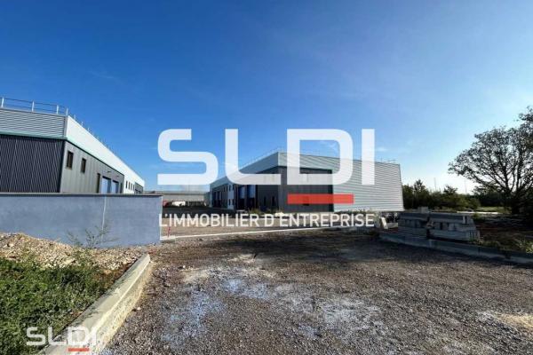 Locaux d'activités A VENDRE OU A LOUER - SAINT VULBAS - 1 471 m²
