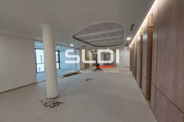 Bureaux A LOUER - GENAS - 9 725 m²