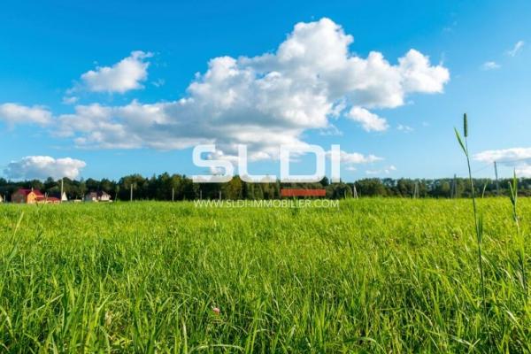 Terrains A VENDRE - LA BOISSE - 6 000 m²