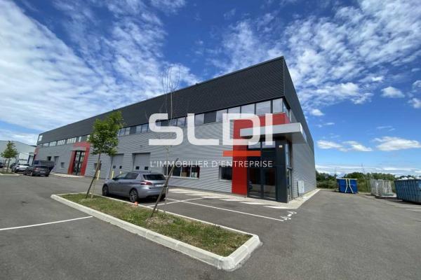 Locaux d'activités A LOUER - DAGNEUX - 723 m²