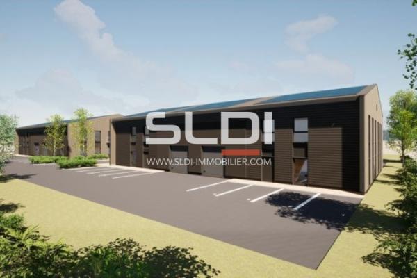 Locaux d'activités A VENDRE OU A LOUER - SAINT NIZIER LE DESERT - 1 360 m²