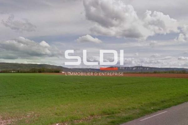 Terrains A VENDRE - VILLIEU LOYES MOLLON - 25 396 m²