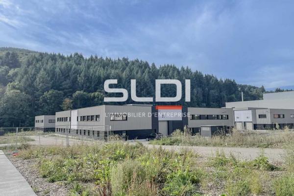 Locaux d'activités A VENDRE OU A LOUER - TARARE - 2 741 m²
