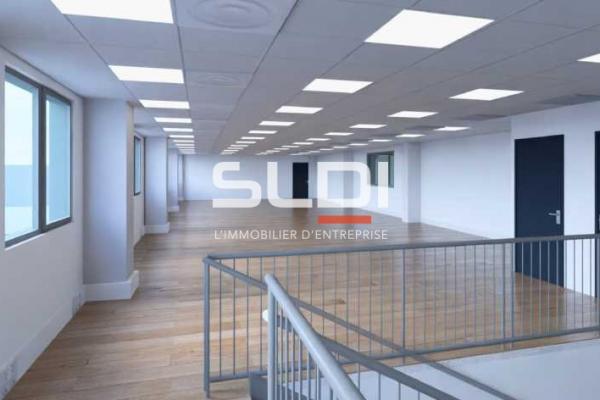 Locaux d'activités A VENDRE OU A LOUER - DECINES CHARPIEU - 4 887 m²