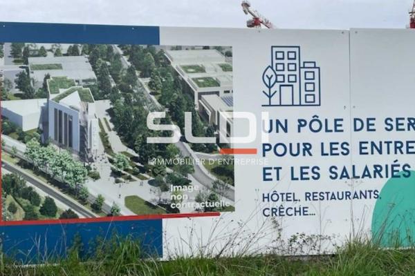 Terrains A VENDRE - RILLIEUX LA PAPE - 10 000 m²