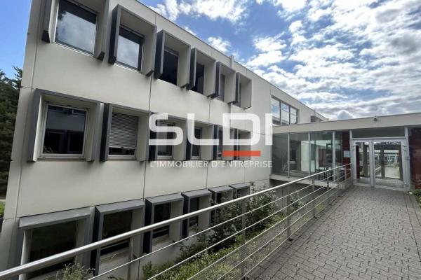 Bureaux A LOUER - ECULLY - 229 m²