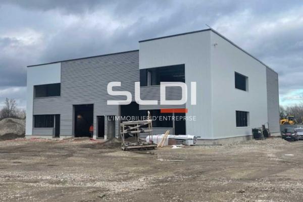 Locaux d'activités A LOUER - OULLINS-PIERRE-BÉNITE - 323 m²