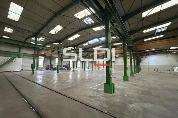 Locaux d'activités A VENDRE OU A LOUER - JASSANS RIOTTIER - 7 883 m²