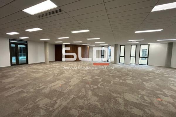 Bureaux A LOUER - LIMONEST - 9 157 m²