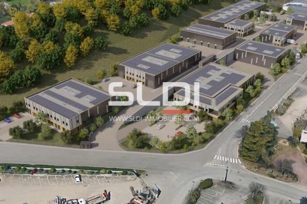 Locaux d'activités A VENDRE - CHAPONOST - 8 930 m²