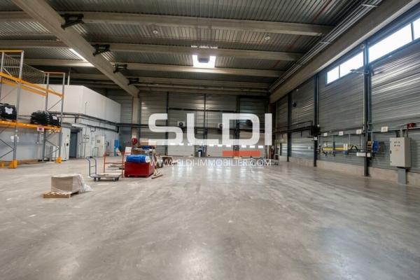 Locaux d'activités A LOUER - MIONS - 15 717 m²