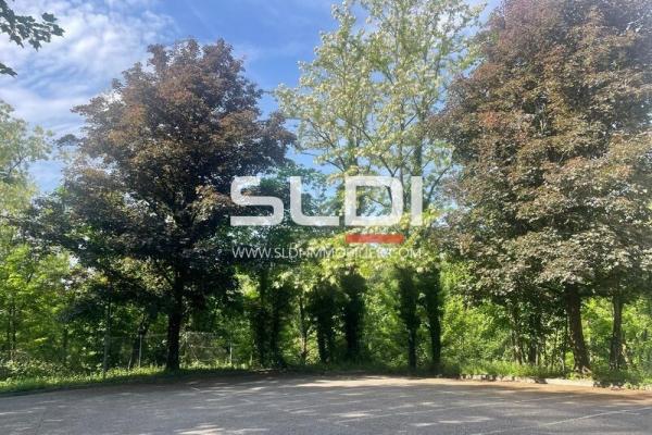 Bureaux A LOUER - ECULLY - 234 m²