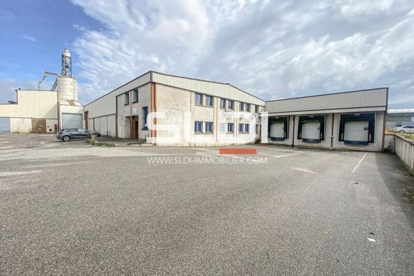 Locaux d'activités A VENDRE OU A LOUER - SAINT GEORGES D'ESPERANCHE - 6 035 m²