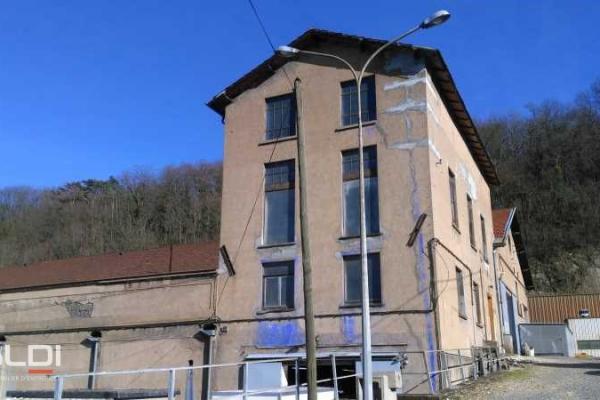 Bureaux A LOUER - FLEURIEU SUR SAONE - 300 m²