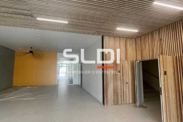 Bureaux A VENDRE OU A LOUER - VILLEURBANNE - 239 m²