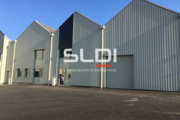 Locaux d'activités A LOUER - GENAS - 239 m²