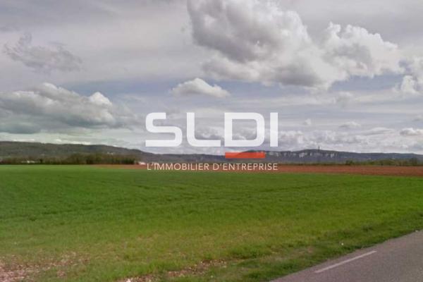 Terrains A VENDRE - SAINT VULBAS - 10 000 m²