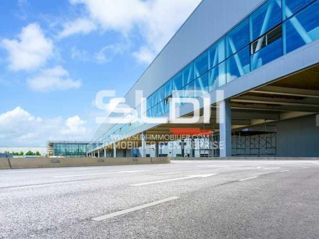 Locaux d'activités A LOUER - CHASSIEU - 5 000 m²