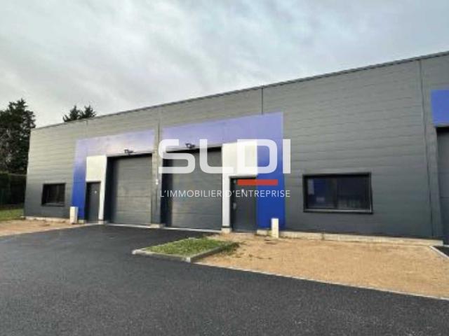 Locaux d'activités A LOUER - POMMIERS - 295 m²