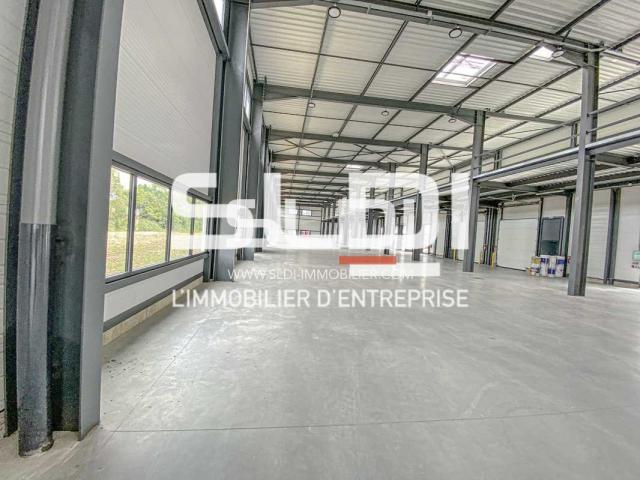 Locaux d'activités A LOUER - MEYZIEU - 2 055 m²