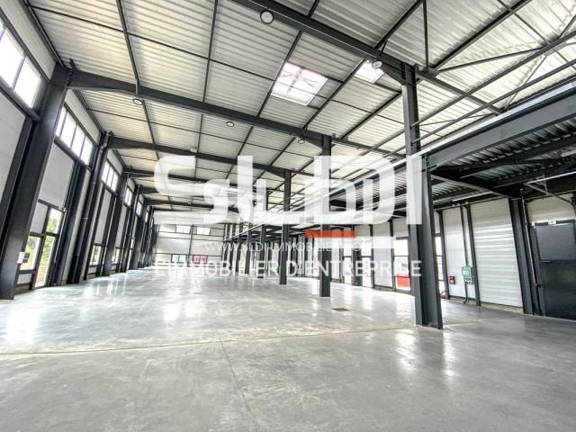 Locaux d'activités A LOUER - MEYZIEU - 2 055 m²