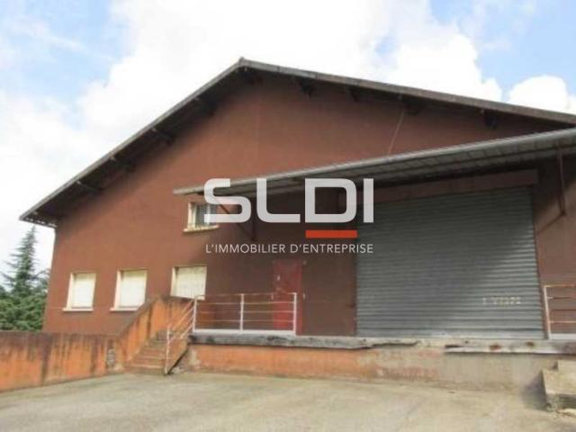 Locaux d'activités A LOUER - FLEURIEU SUR SAONE - 800 m²