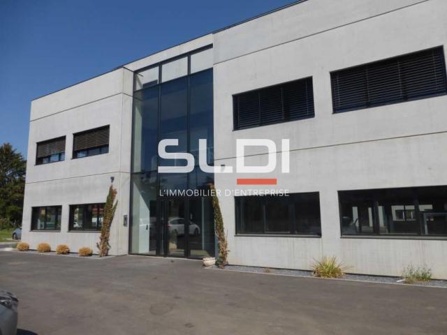 Bureaux A LOUER - RILLIEUX LA PAPE - 56,49 m²