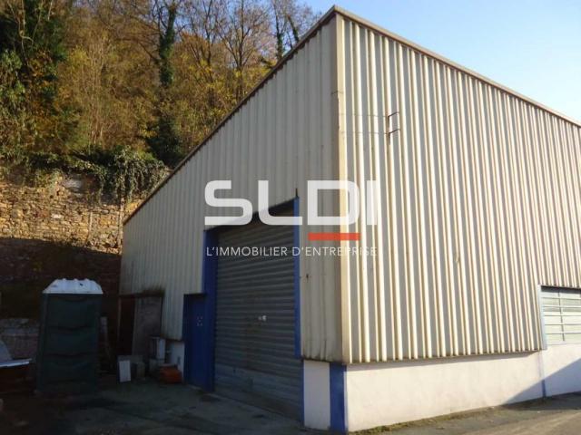 Locaux d'activités A LOUER - FLEURIEU SUR SAONE - 873 m²