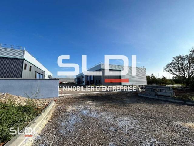 Locaux d'activités A VENDRE OU A LOUER - SAINT VULBAS - 1 471 m²