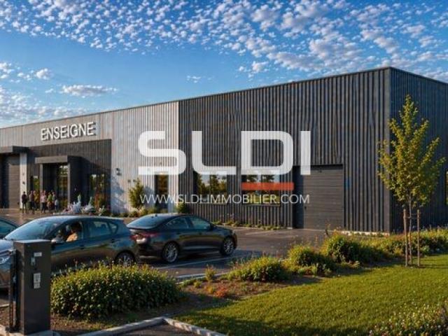 Locaux d'activités A VENDRE OU A LOUER - GUEREINS - 1 700 m²