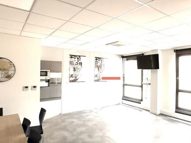 Locaux d'activités A LOUER - SAINT ANDRE DE CORCY - 445 m²