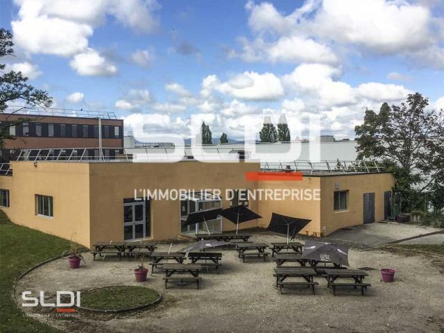 Bureaux A LOUER - DARDILLY - 351 m²