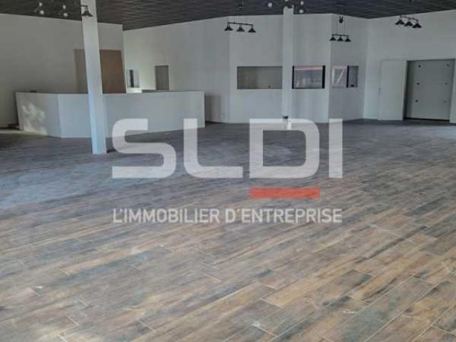 Locaux d'activités A LOUER - DARDILLY - 5 118 m²