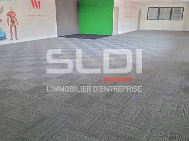 Locaux d'activités A LOUER - DARDILLY - 5 118 m²