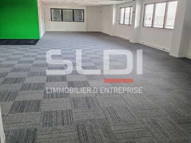 Locaux d'activités A LOUER - DARDILLY - 5 118 m²