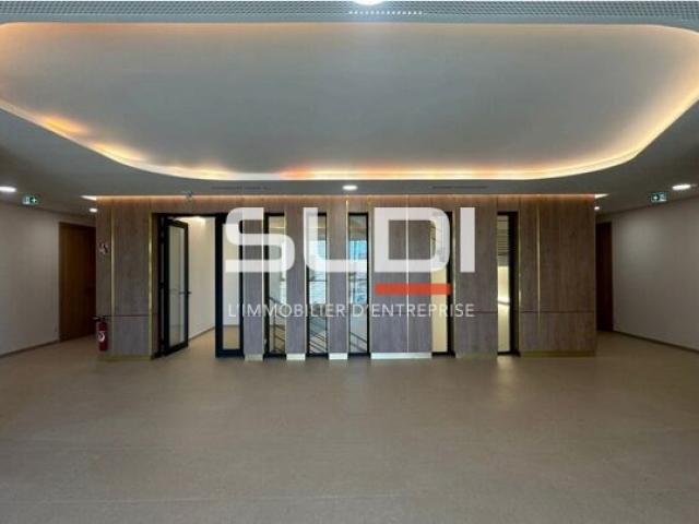 Bureaux A LOUER - GENAS - 9 725 m²
